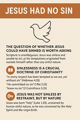 Infographic